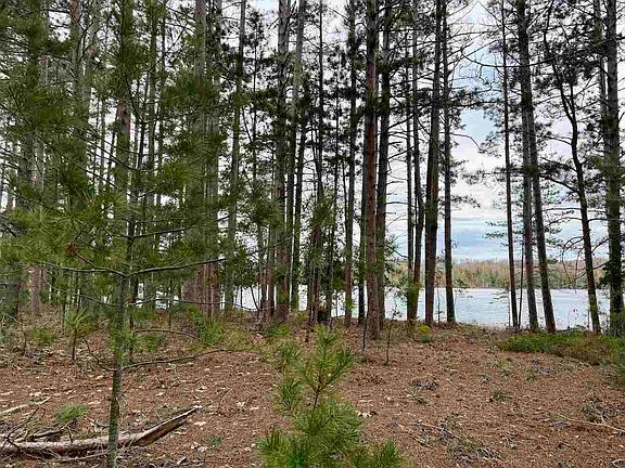 3rd image of Whitetail Trail 13 14 #&-15