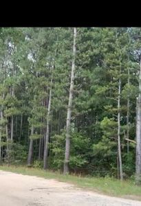 0 BERMUDA HILL Hill, Trenton, SC, 29847