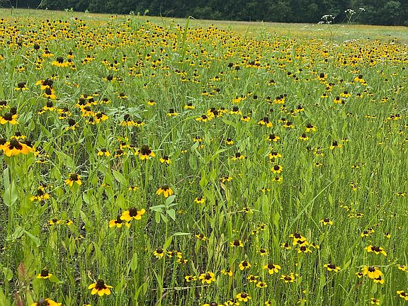4th image of County Road 3525