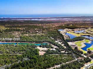 251 Amber Trl LOT 20, Palm Coast, FL 32137