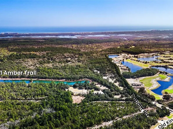 251 Amber Trl Lot 20, Palm Coast, FL 32137