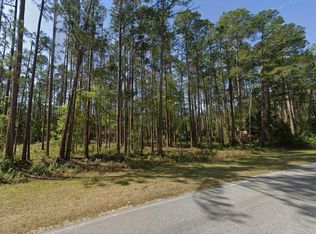 243 & 245 Georgetown Denver Rd, Georgetown, FL 32139