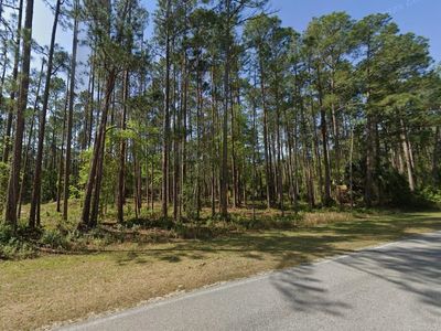 243 & 245 Georgetown Denver Rd, Georgetown, FL, 32139