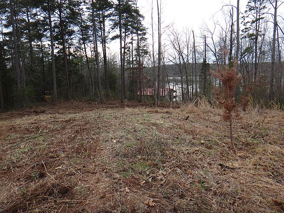 5th image of Lake Secession Mobley's Bluff Road