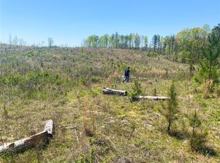 3217 Lee Road 334, Salem, AL 36874