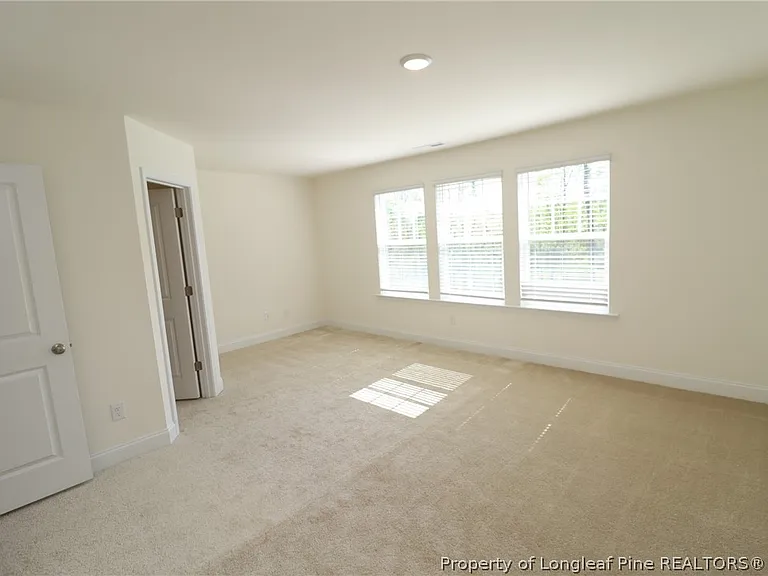 917 Kensley Grove Ln — Photo 26
