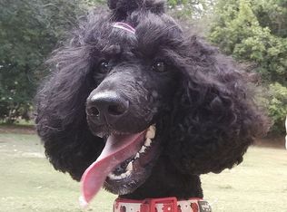 1055 Julius Dr, Suwanee, GA 30024