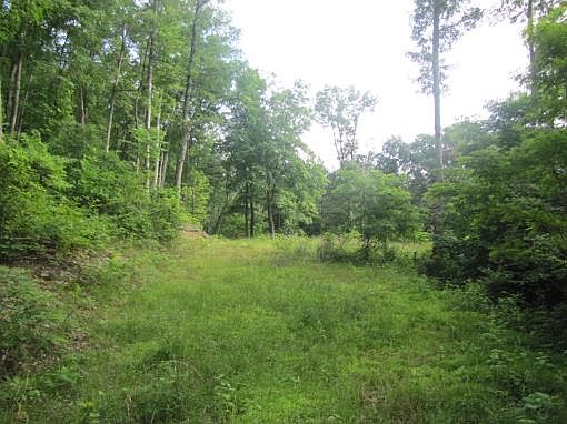 2nd image of Old National Pike