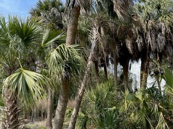 3212 Myrtle St, Edisto Island, SC 29438