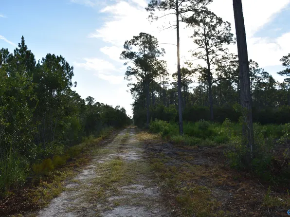 35490 Rester Ave, Lillian, AL 36549