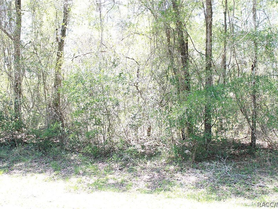 1st image of 9460 N Lily Dr