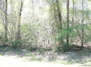 9460 N Lily Dr, Citrus Springs, FL 34434