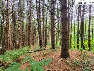 Lot 7 West Mill Creek Est, Warrensville, NC, 28693