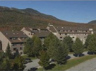 23 Black Bear Rd #320, Waterville Valley, NH 03215
