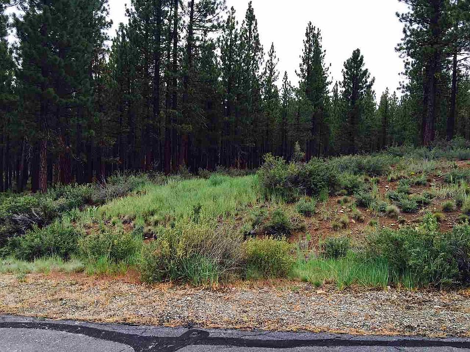 1st image of 226 Deer Trl