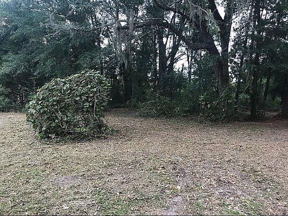 4th image of 14868 99th Ln