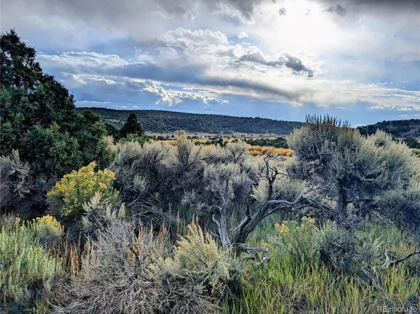 Lot 7571 Mallott Road, Fort Garland, CO 81133