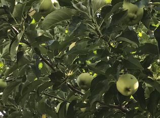 13590 Mount Rainier St, Reno, NV 89506