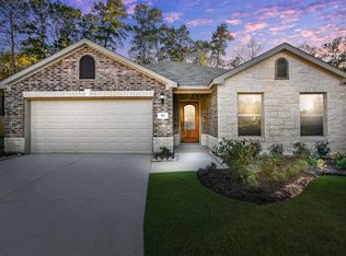 196 Courageous Side Way, Magnolia, TX 77354