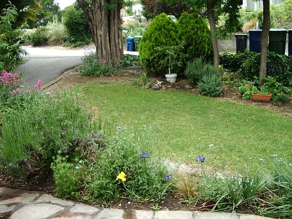 Front Yard