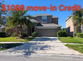 11617 Branch Cay Cir, Riverview, FL 33569