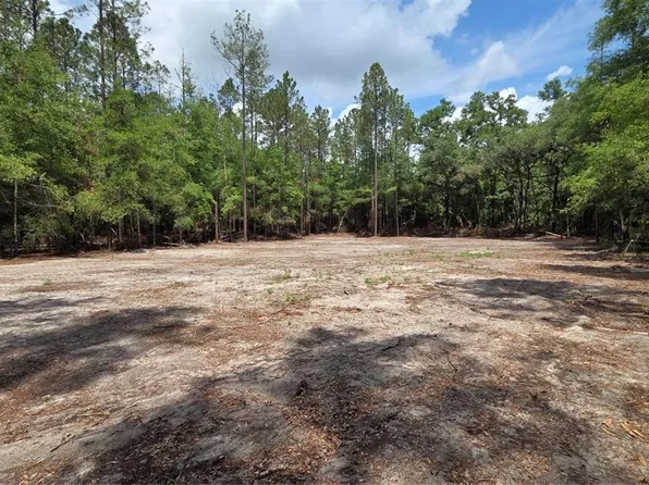 SW 61st Pl, Newberry, FL 32669