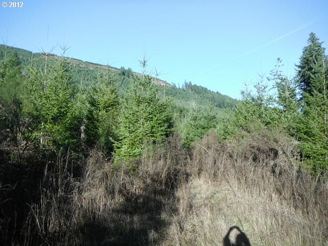 2nd image of McKenzie Hwy
