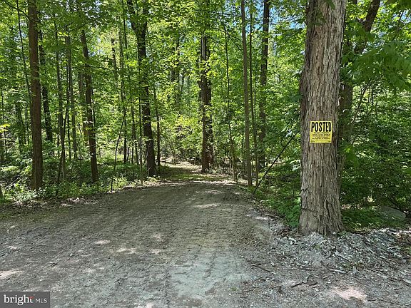 2nd image of Red Maple Ln