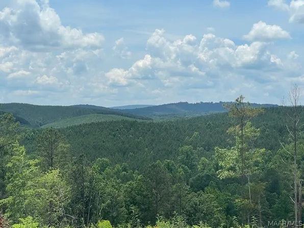 5000 Mines Rd, Ashland, AL 36251