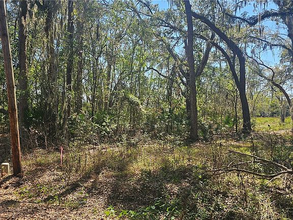 2nd image of 304 Burford Rd