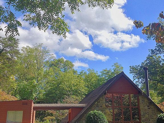 surrounded by nature