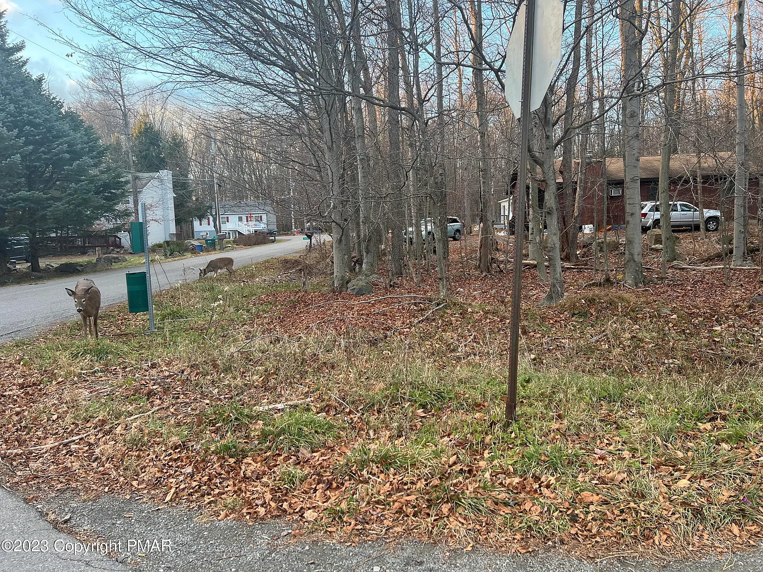 Bear Trail Dr #609 photo 1