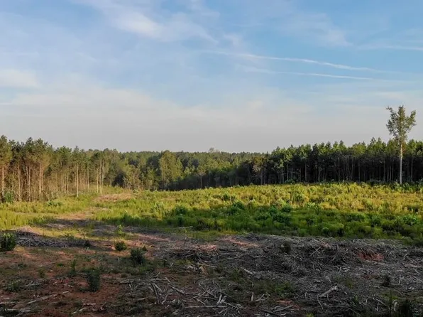 0 Riddley Powell Rd, Macon, NC 27551