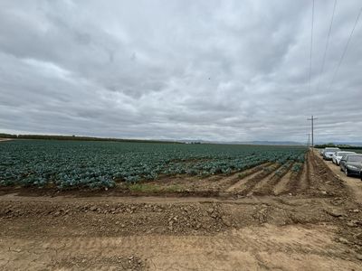 Netherton Rd, Newman, CA, 95360