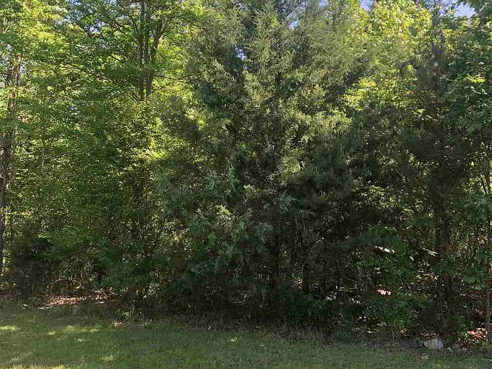 2nd image of Quail Roost Dr