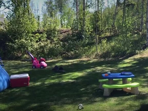 Large yard with lawn