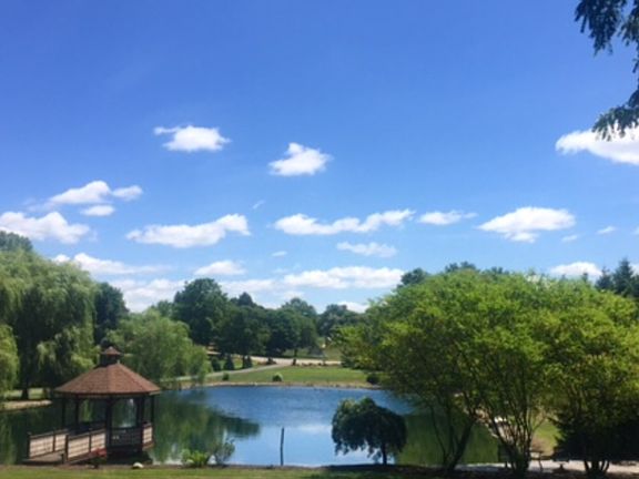 Front view from house