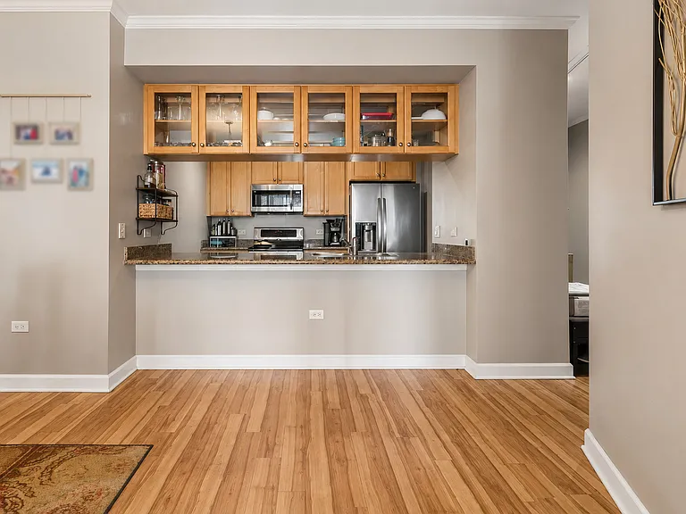 1335 S Prairie Ave #1409 — Photo 4