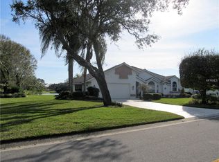 10003 Scarlett Ct, Weeki Wachee, FL 34613