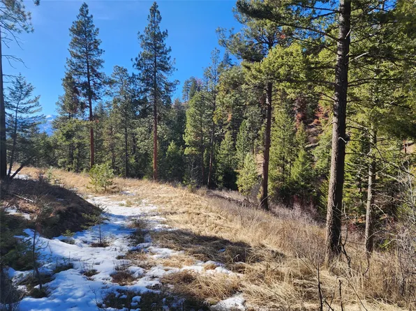 Nhn Dragonfly Ln, Florence, MT 59833