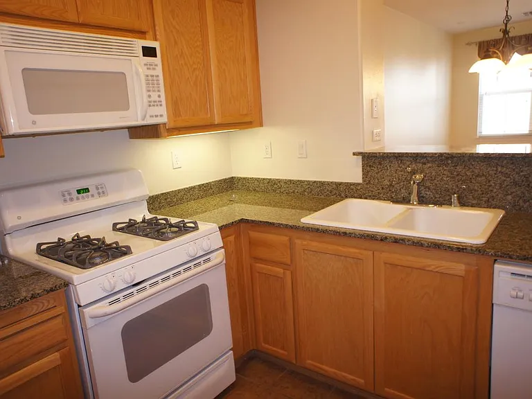 Gas stove and microwave oven