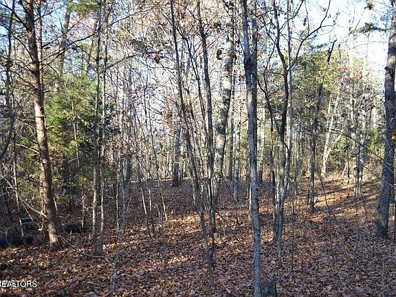3rd image of 246 County Road 162