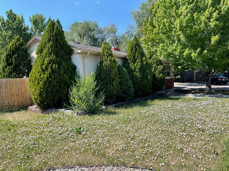 1773 Palmer Park Blvd — Photo 2