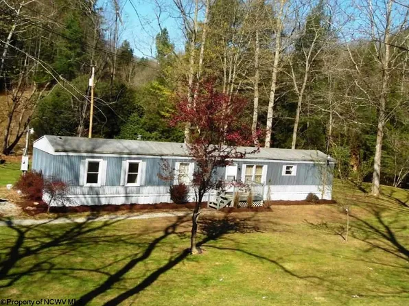 13432 Gauley Tpke, Ireland, WV 26376