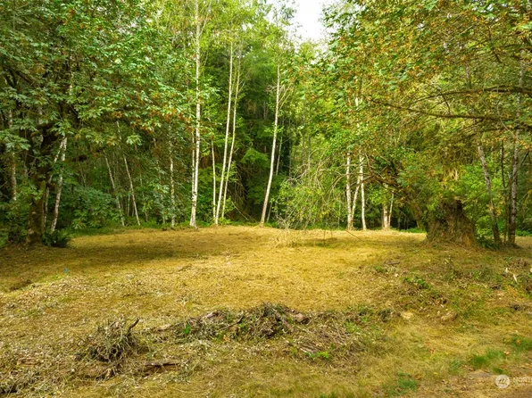 0 NE Echo Ridge Road, Brush Prairie, WA 98606