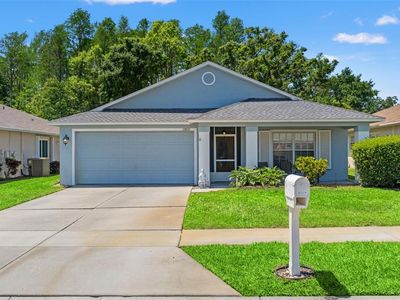 11800 Ivywood Pl, New Port Richey, FL, 34654