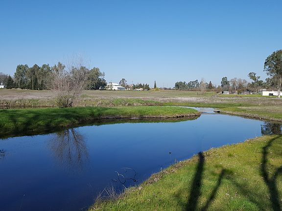 Pond with ducks and turtles