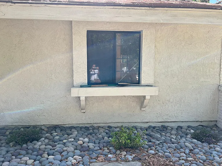 20230 Stagg St — Photo 5