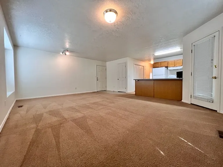 Stephen - 2238 — Photo 3