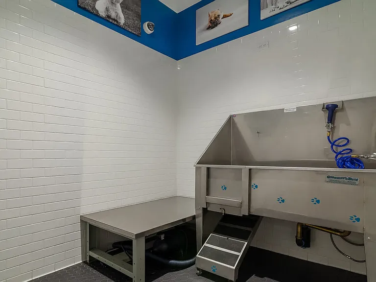 Pet Washing Station